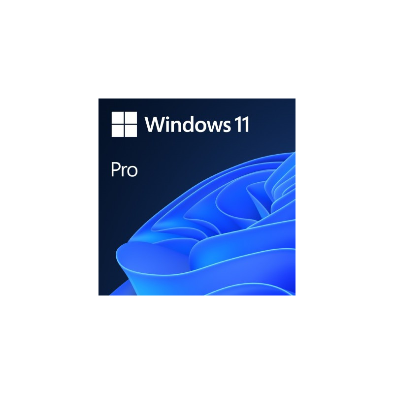 MICROSOFT WINDOWS 11 ESD  PRO 64-BIT