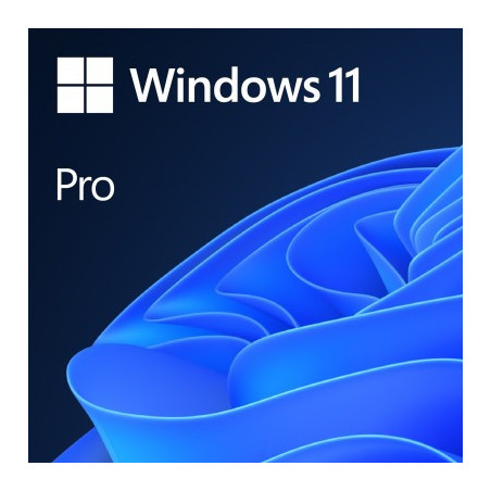 MICROSOFT WINDOWS 11 ESD  PRO 64-BIT