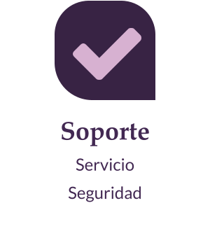 Soporte Servicio Seguridad